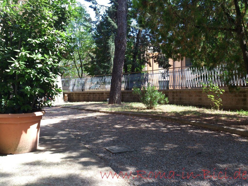 DSC_2023_Roma-in-Bici_Tag_15_web