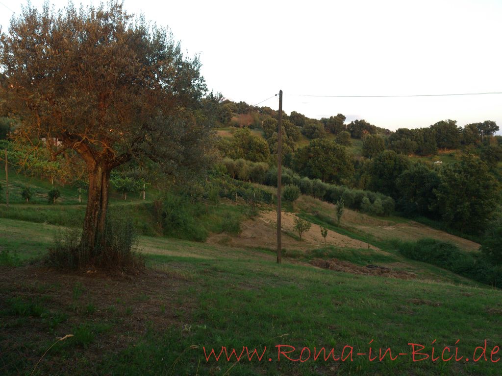 DSC_2037_Roma-in-Bici_Tag_15_web
